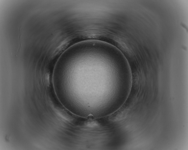 X0000091500262200708231450