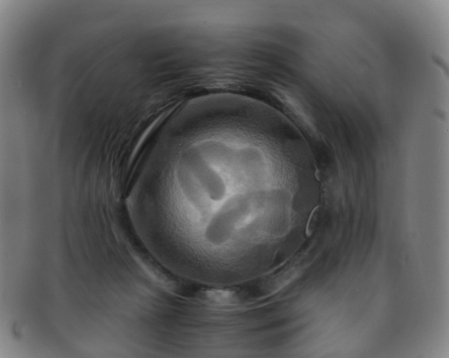 X0000091500265200708231450