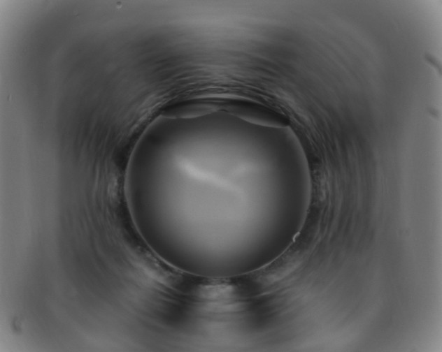 X0000091500266200708231450