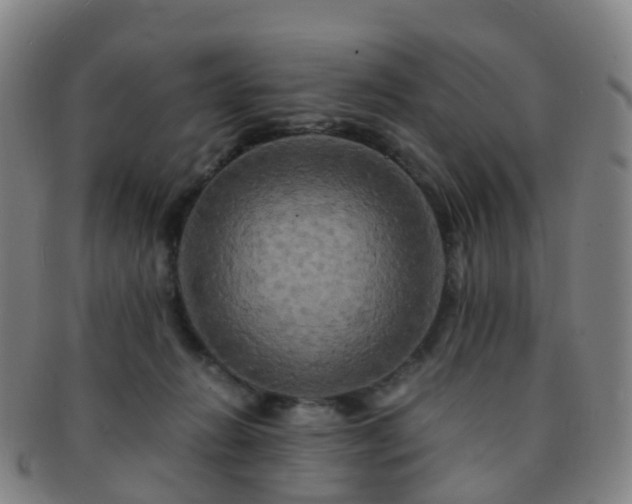 X0000091500270200708231451