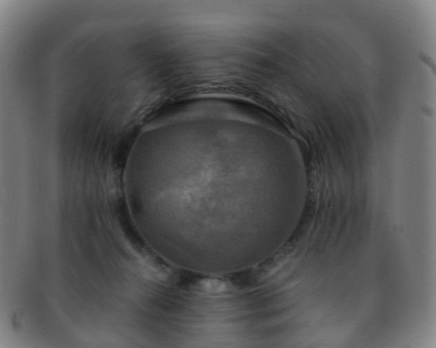 X0000091500272200708231451