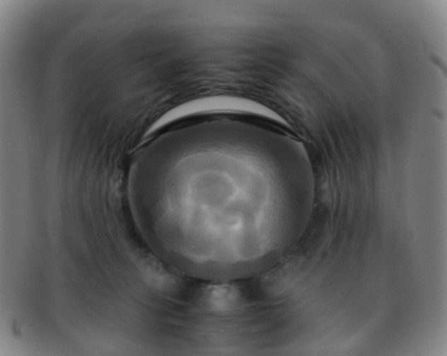 X0000091500275200708231451