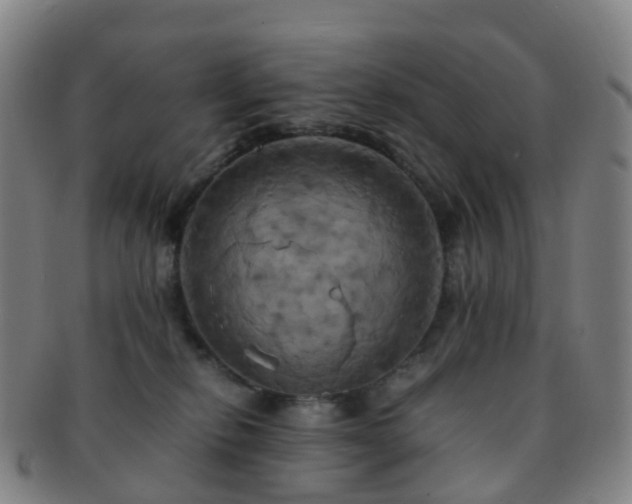 X0000091500278200708231451