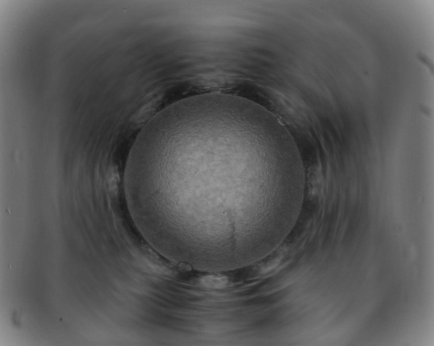 X0000091500279200708231451