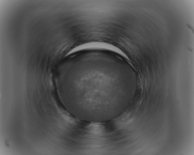 X0000091500280200708231451