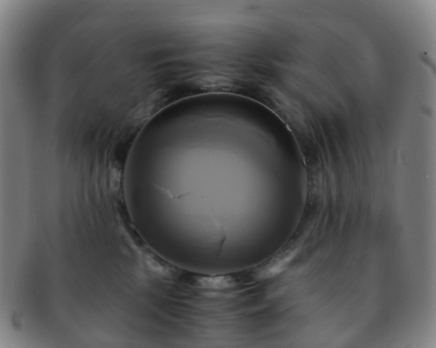 X0000091500281200708231451