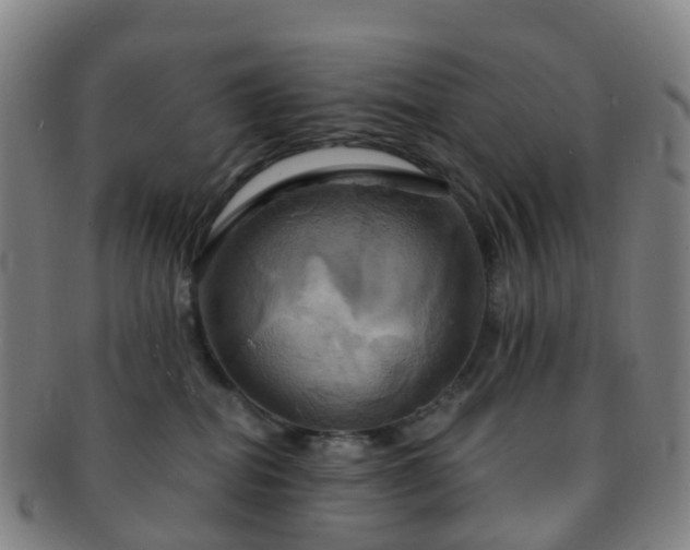 X0000091500282200708231451