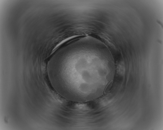 X0000091500283200708231451