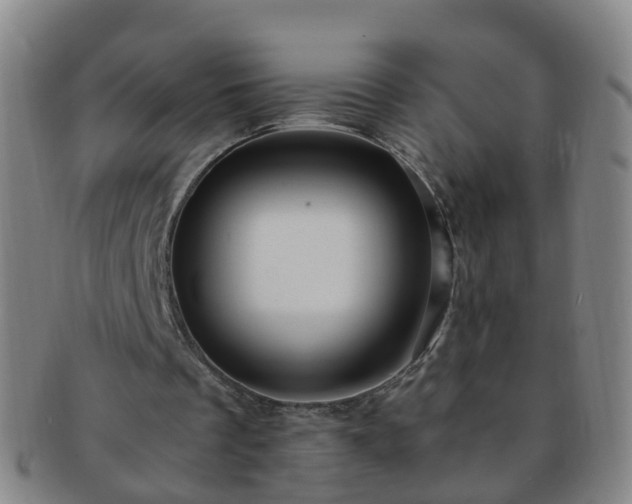 X0000091500289200708231450