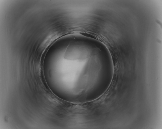 X0000091500290200708231450