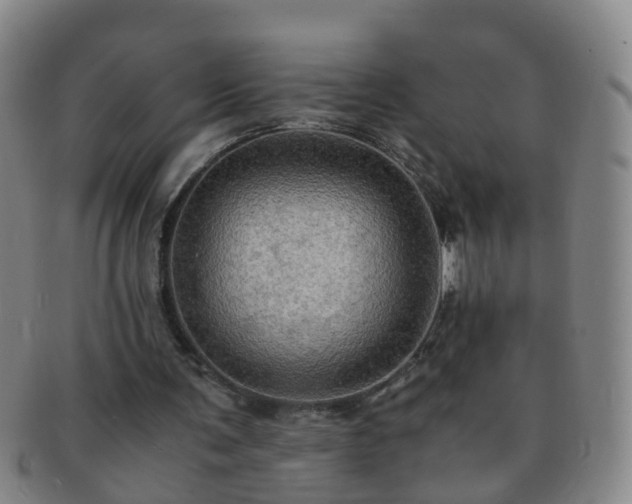 X0000091500291200708231450