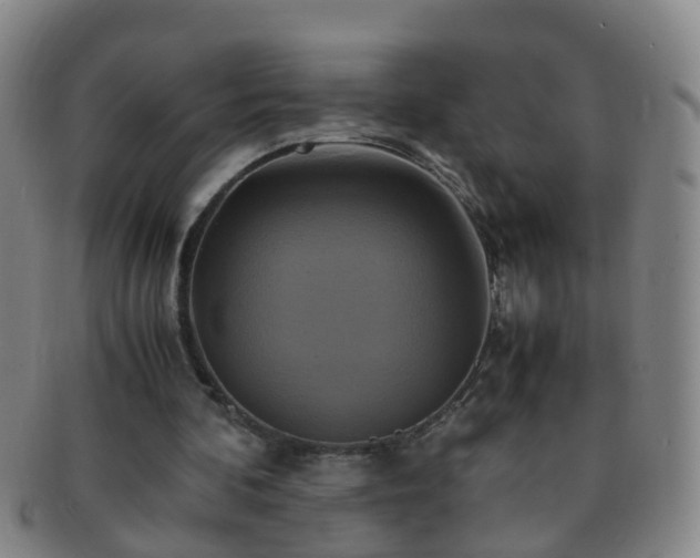 X0000091500292200708231450