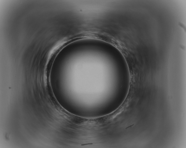 X0000091500294200708231450