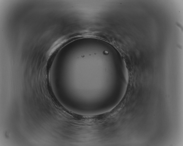 X0000091500295200708231450