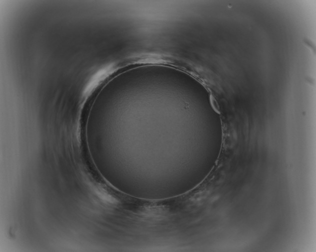 X0000091500296200708231450