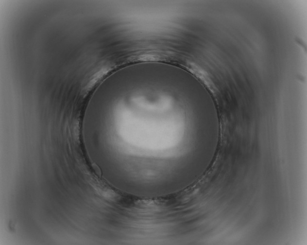 X0000091500297200708231450
