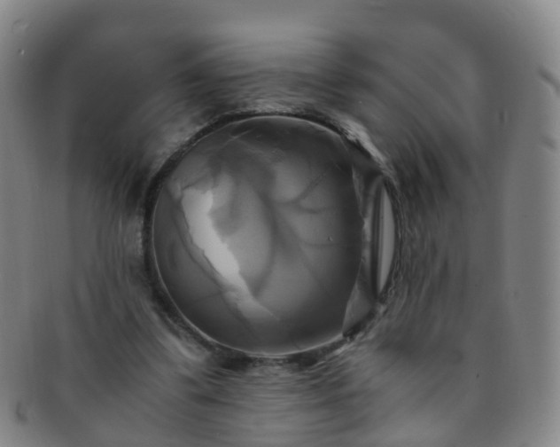 X0000091500299200708231450