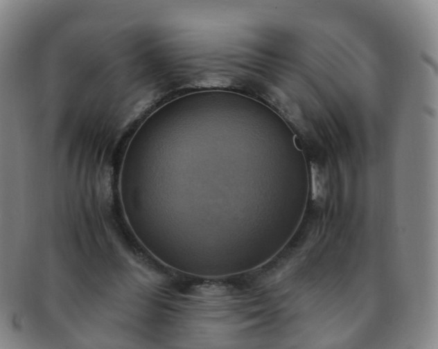 X0000091500300200708231450