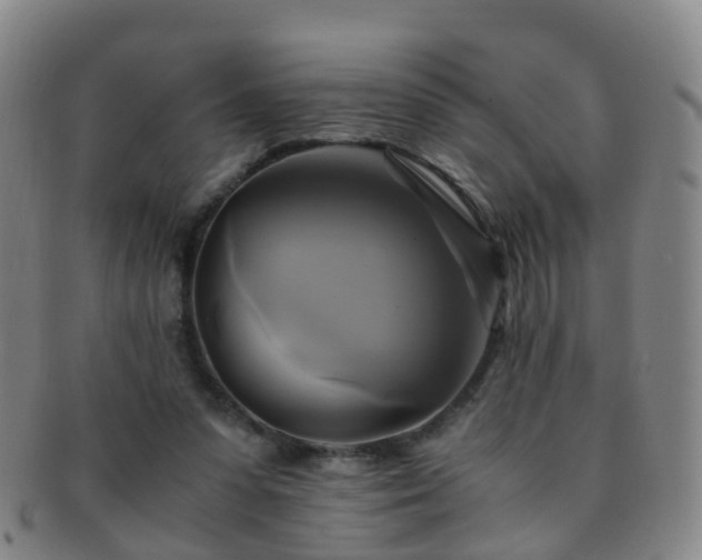 X0000091500303200708231450