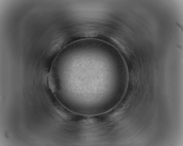 X0000091500307200708231450