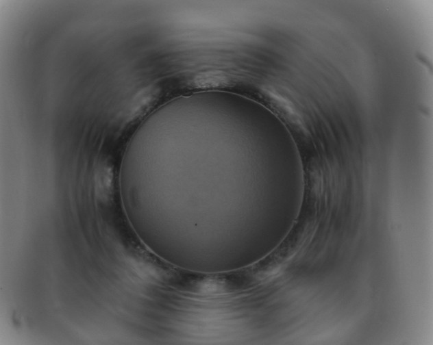 X0000091500308200708231450