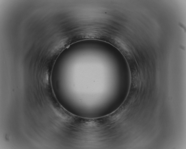 X0000091500310200708231450