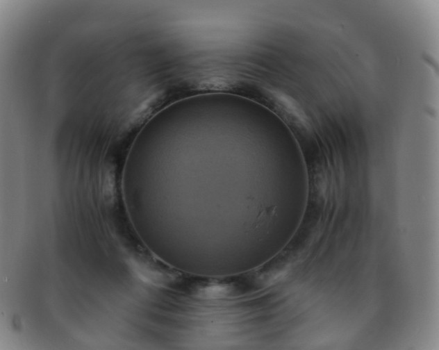 X0000091500312200708231450