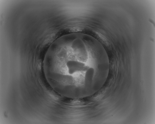 X0000091500315200708231450