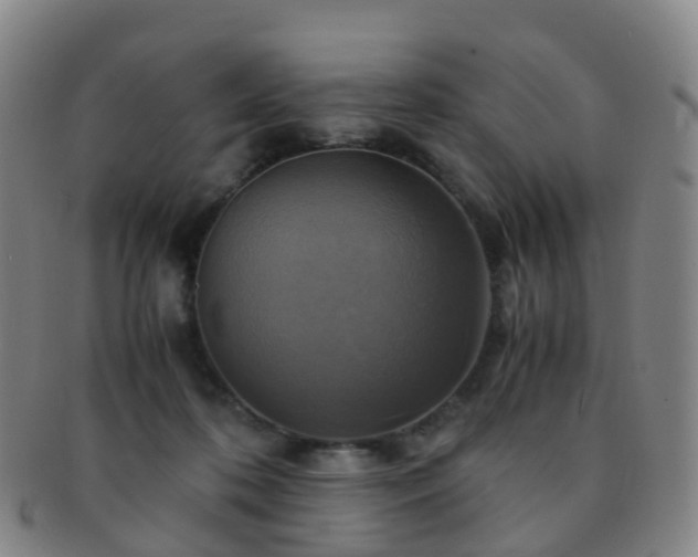 X0000091500316200708231450