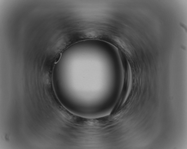 X0000091500317200708231450