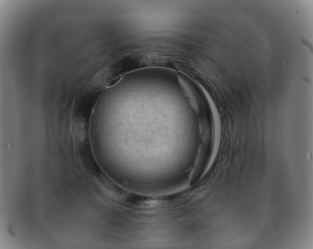 X0000091500323200708231450