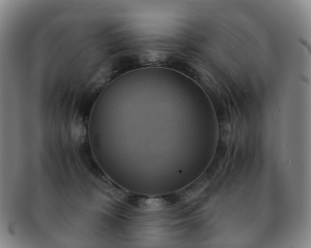 X0000091500324200708231450