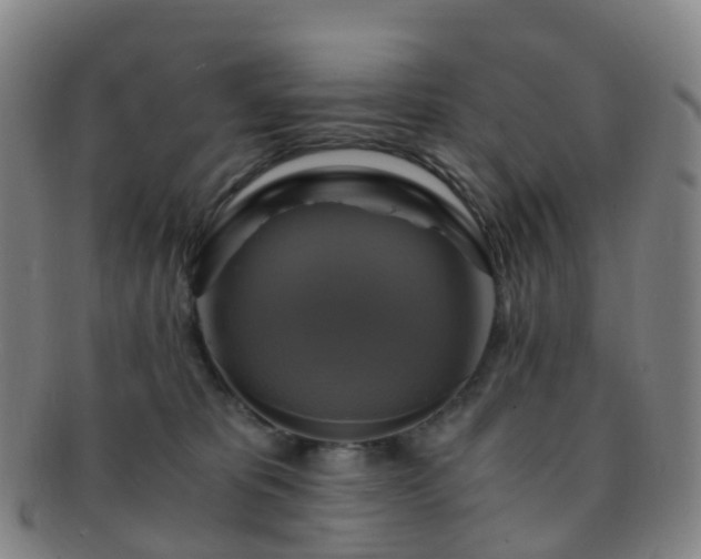 X0000091500325200708231450