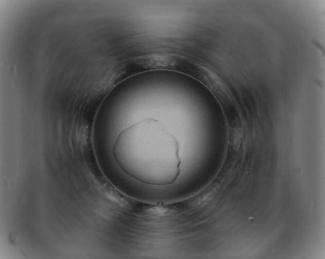 X0000091500326200708231450