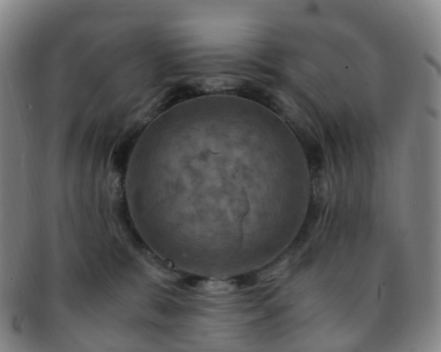 X0000091500327200708231450