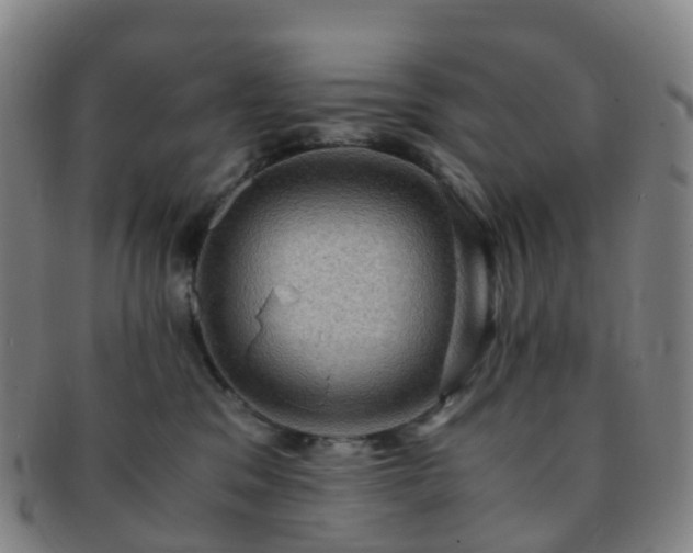 X0000091500329200708231450