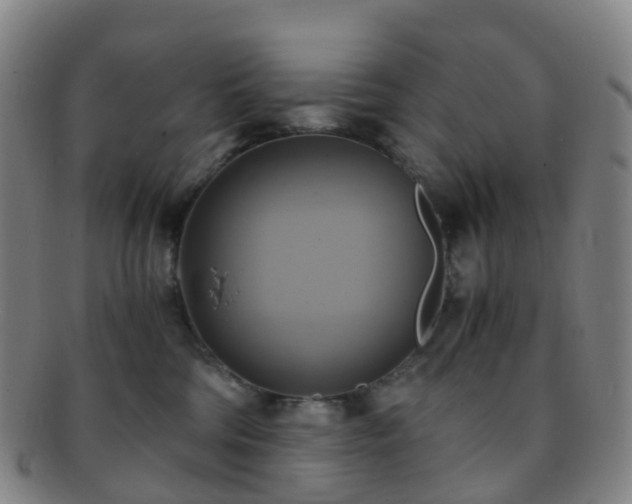 X0000091500330200708231450