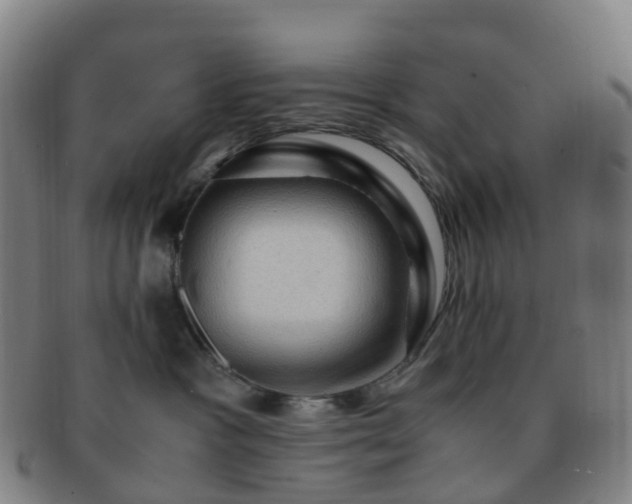 X0000091500333200708231449