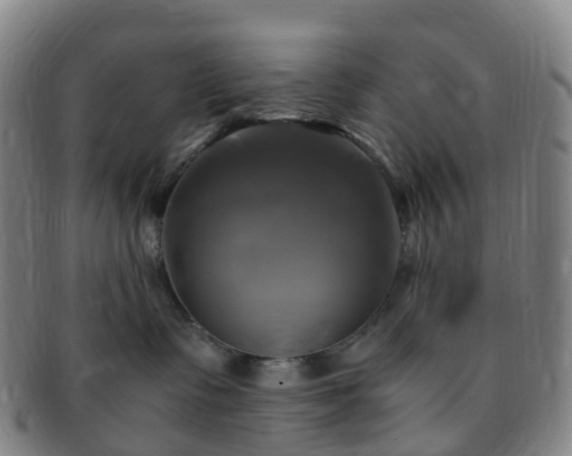 X0000091500335200708231449