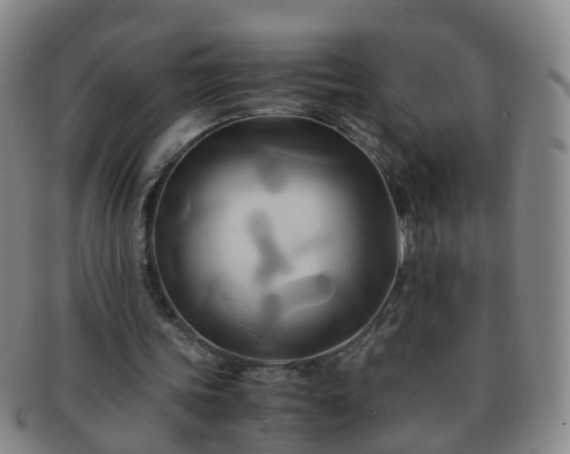 X0000091500339200708231449