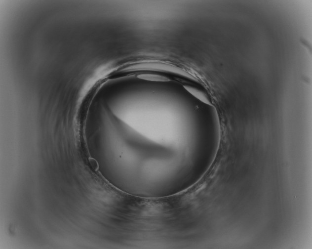 X0000091500343200708231449