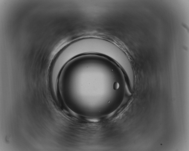 X0000091500344200708231449