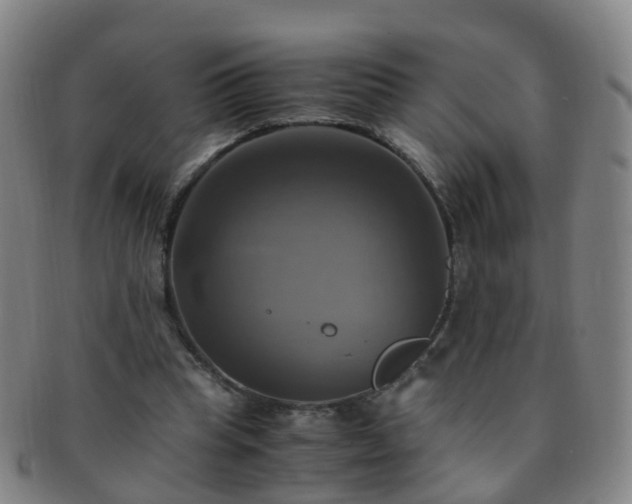 X0000091500345200708231449