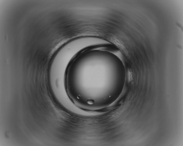 X0000091500348200708231449