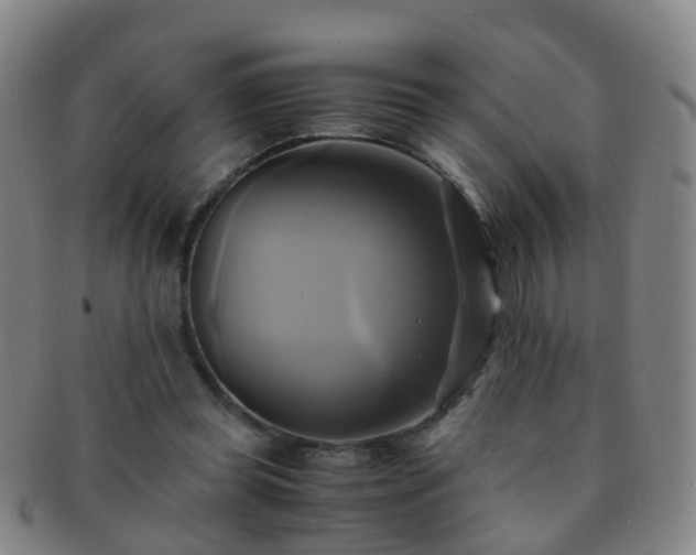 X0000091500349200708231449