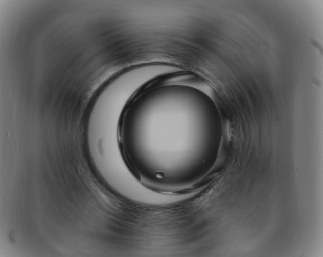 X0000091500350200708231449