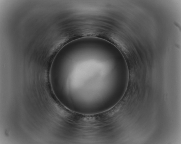 X0000091500353200708231449