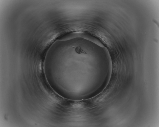 X0000091500358200708231449