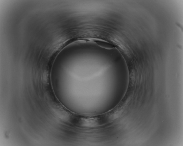 X0000091500359200708231449