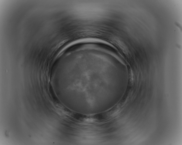 X0000091500360200708231449